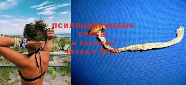 мяу мяу мука Бородино