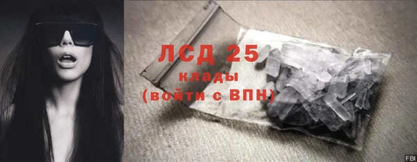 мяу мяу мука Бородино