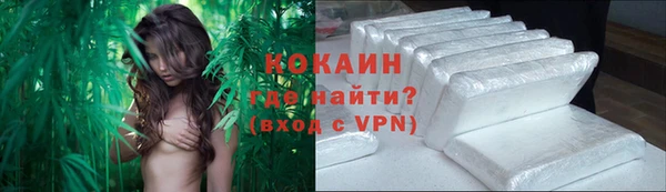 мяу мяу мука Бородино
