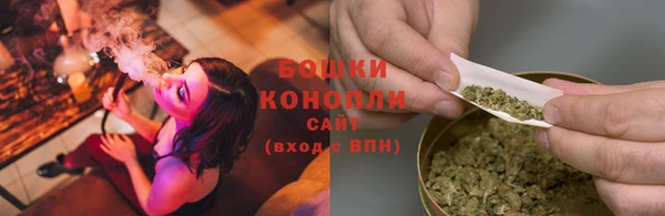 мяу мяу мука Бородино