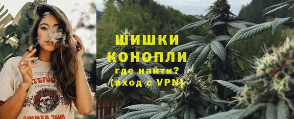 мяу мяу мука Бородино