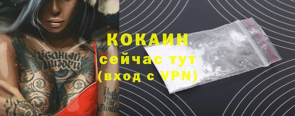 мяу мяу мука Бородино
